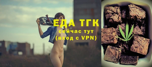 сатива Новозыбков