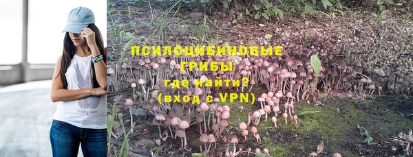 амф Нея