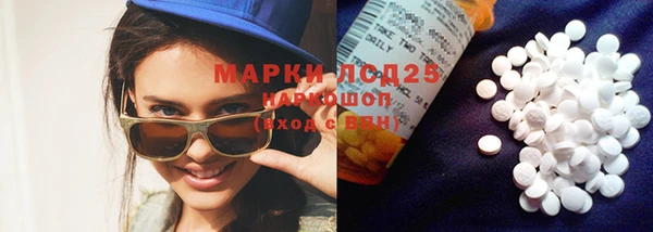 сатива Новозыбков
