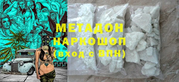 сатива Новозыбков