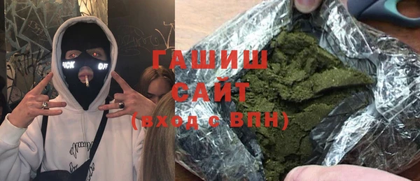 сатива Новозыбков