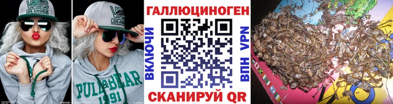 как найти   Щёкино  Псилоцибиновые грибы мицелий 